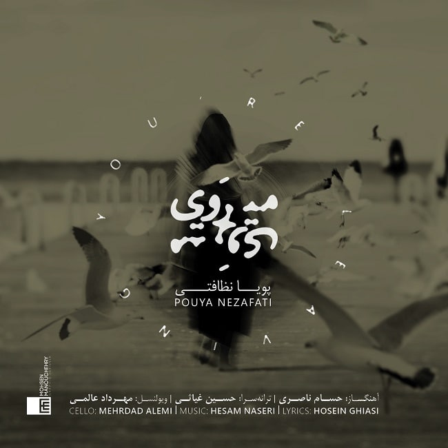 دانلود آهنگ می‌روی